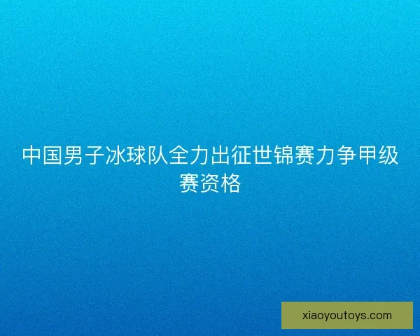 中国男子冰球队全力出征世锦赛力争甲级赛资格